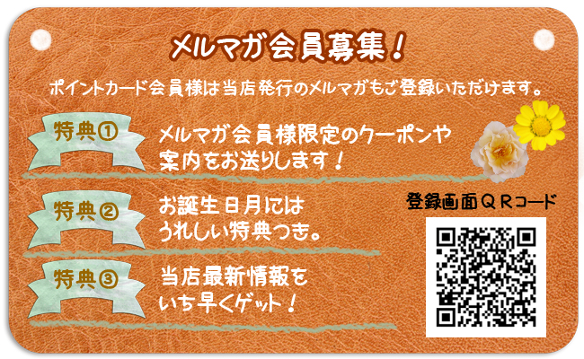 メルマガ
